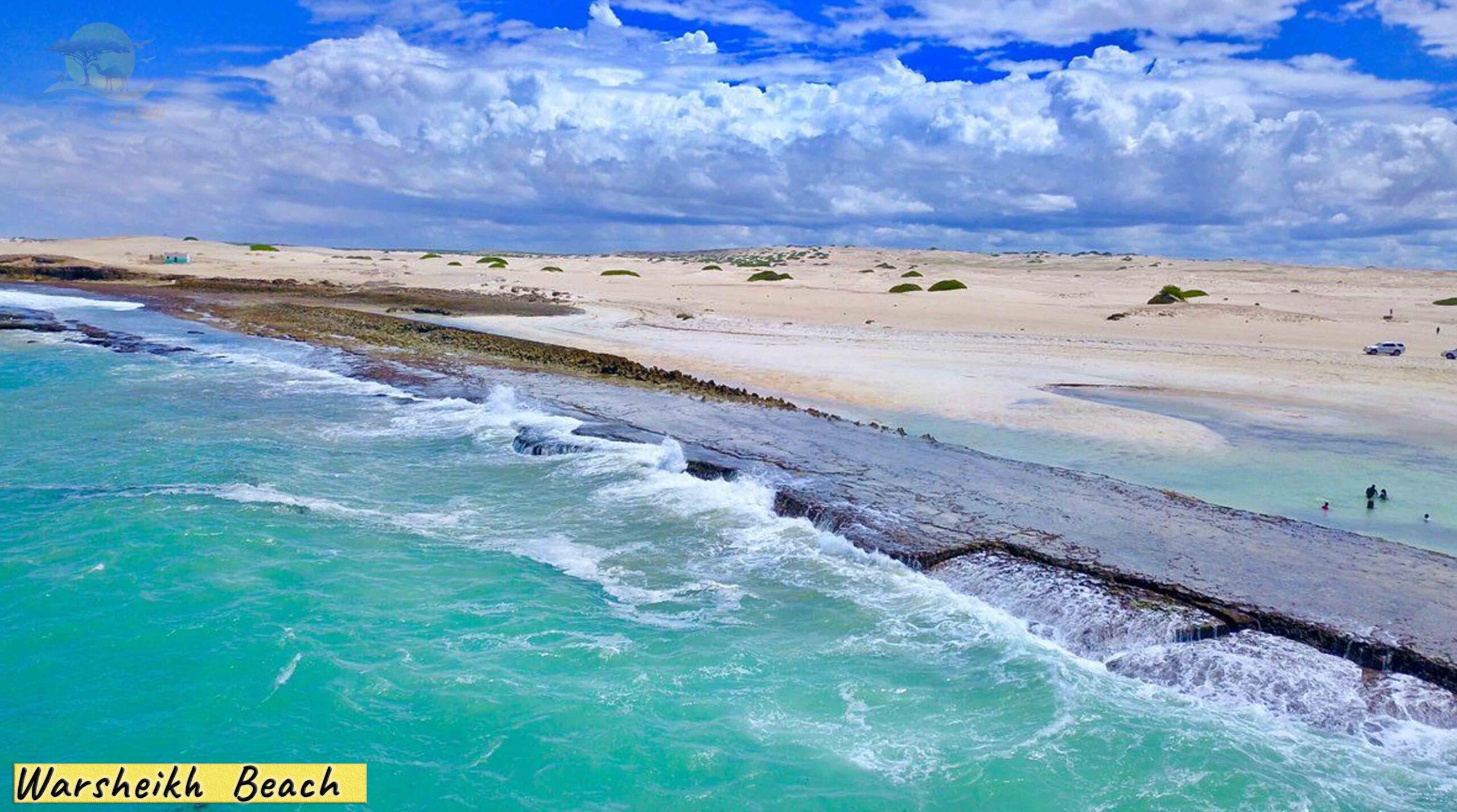 Warsheikh-beach2-scaled.jpg