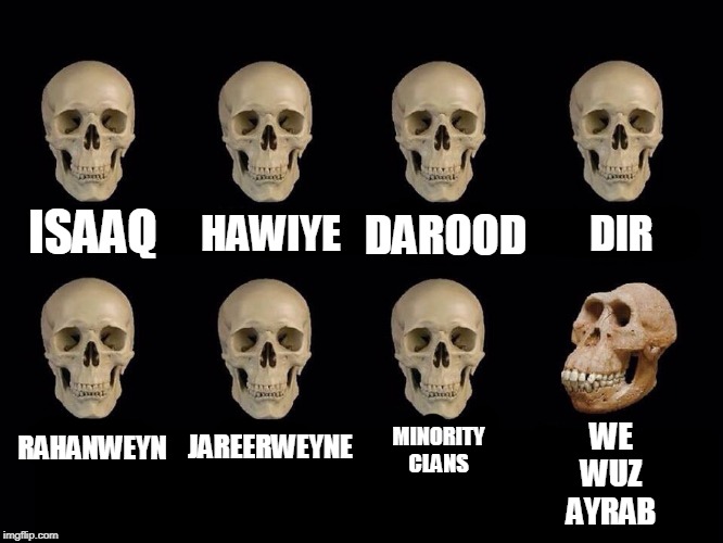 We Wuz Ayrab.jpg