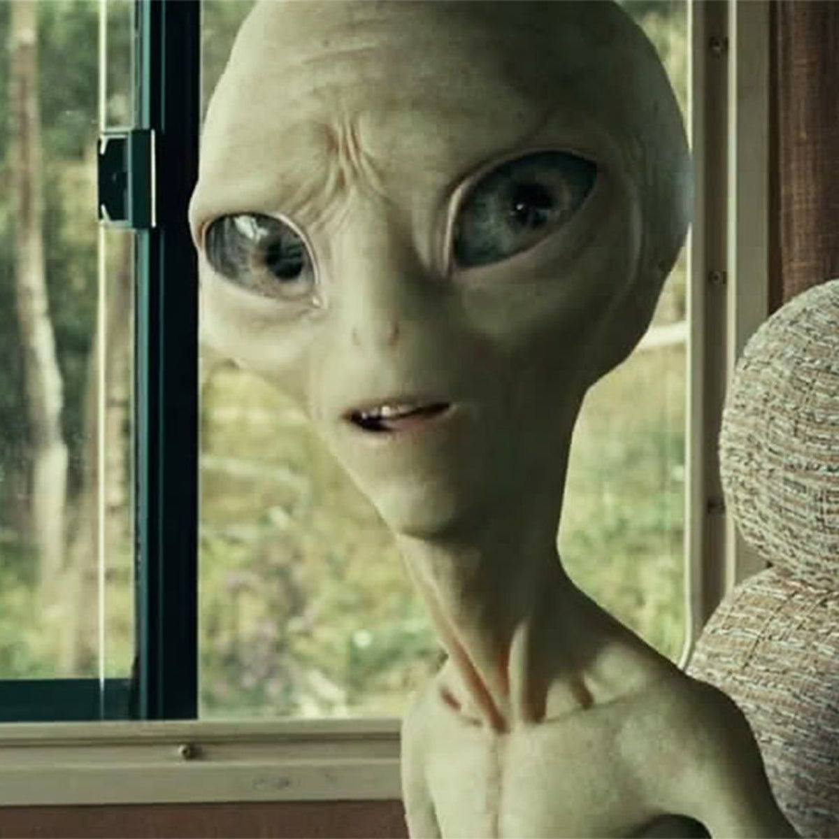 web-aliens-2.jpg