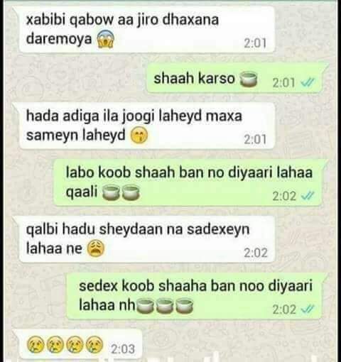 whatsapp.jpg