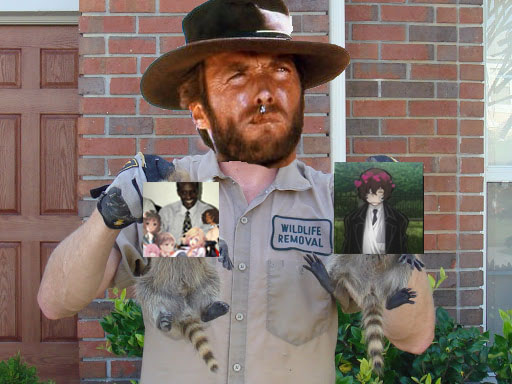 wildlife removal.jpg
