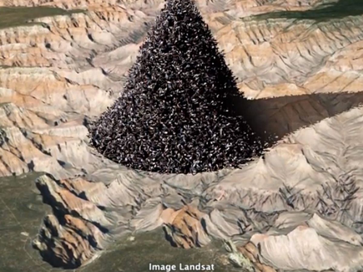 Worlds-Population-in-Grand-Canyon.jpg