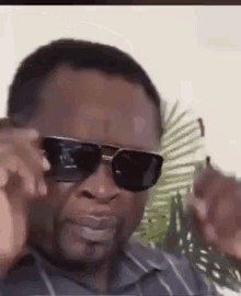 wtf-shades.gif