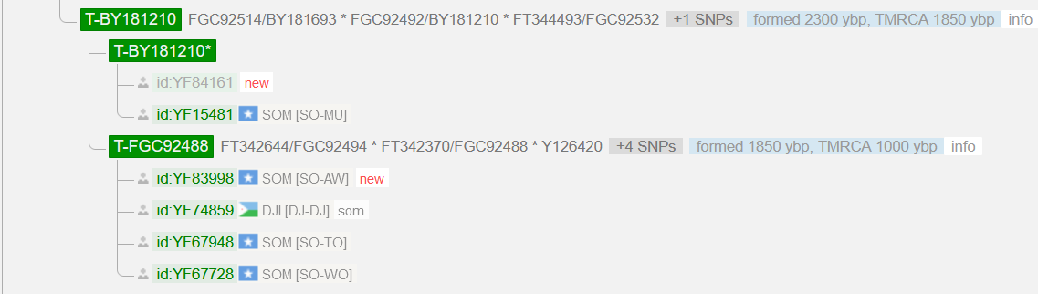 Y16897.PNG