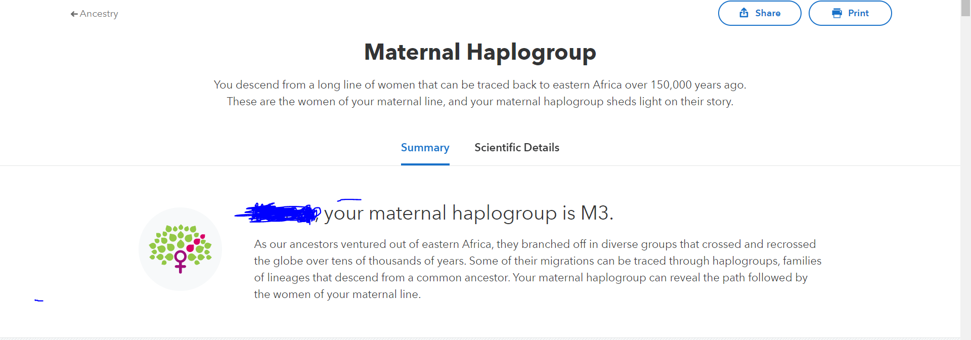 YDG Haplogroup 1.PNG