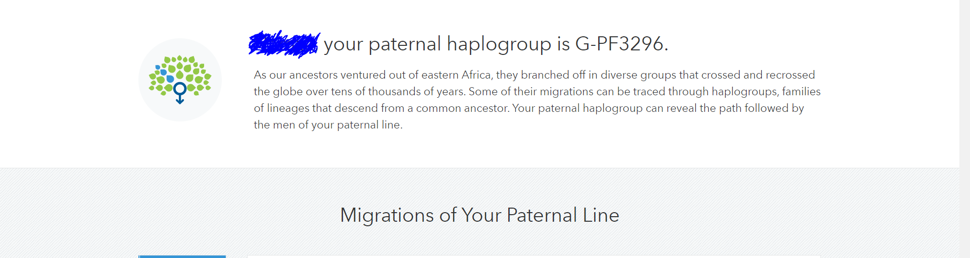 YDG Haplogroup 2.PNG
