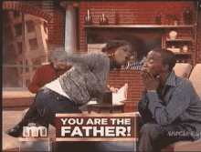 You are the father.gif