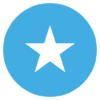 somalia-flag-vector-emoji-icon-2.png