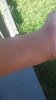 20170527_105308.jpg