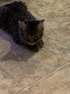 CC038460-22C0-480B-8F9E-57380CC19862.jpeg
