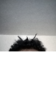 horns.png