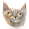 20863F24-9349-4BA2-883A-14C608AF45AA.png