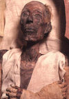 images (5).jpeg
