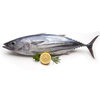 tuna-fish-500x500.jpg