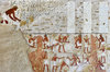 29361-egypt-L.jpg