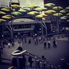 B8C9E7D3-DDE0-4737-9690-3719177F4705.jpeg