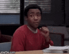 BouncyCheerfulJay-small.gif