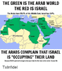 the-green-is-the-arab-world-the-red-is-israel-10550699.png