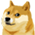 :doge:
