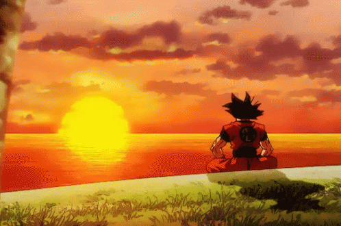 Sunset GIF - Dragon Ball Z Goku - Discover & Share GIFs