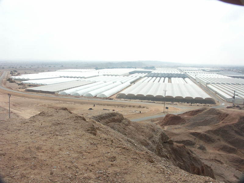 greenhouses_arava_israel_1.jpg