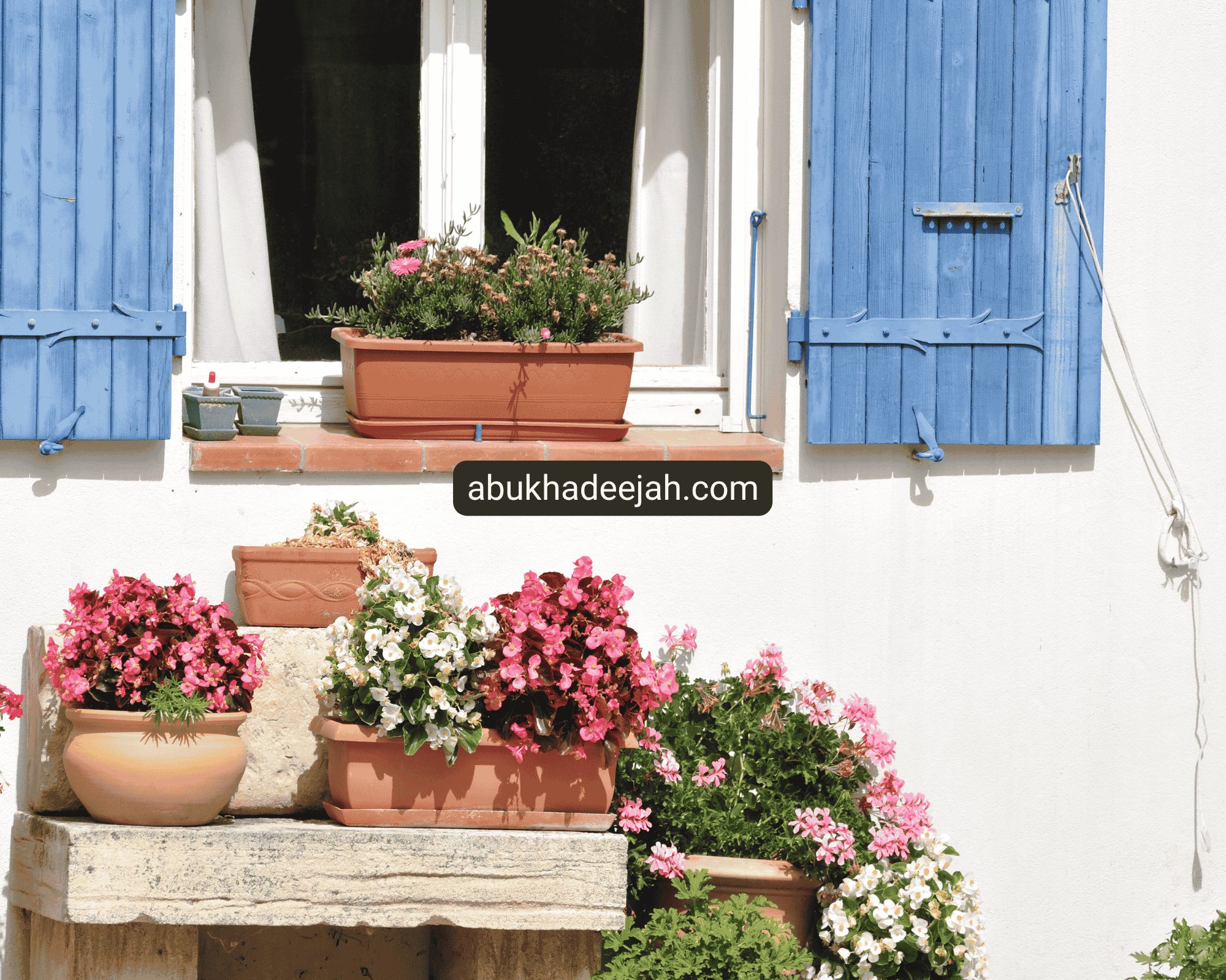 www.abukhadeejah.com