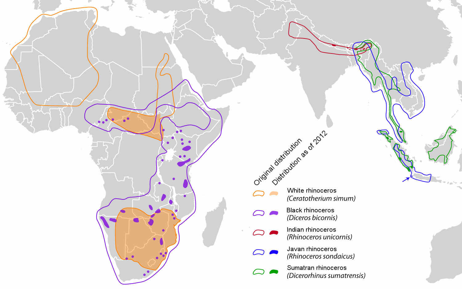 Rhinocerotidae_distribution_map_en.png