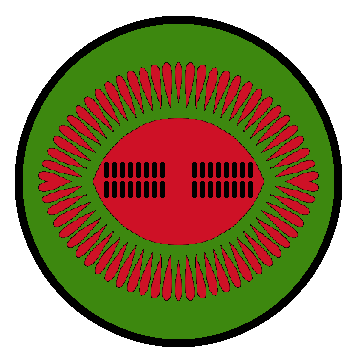 tktTrGz.png