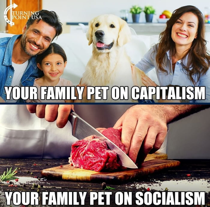 According to TPUSA, socialism is when you eat mutts
