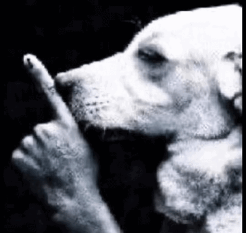 Shhh Meme - Shhh - Discover & Share GIFs