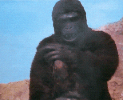 KzGCAlMiK6hQQ.gif