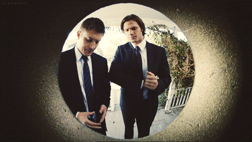 tumblr_n8cf45LMWp1tt9a88o1_500.gif