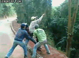 giphy.gif