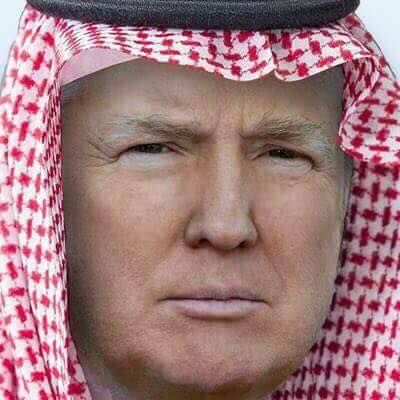 Pin on #NotMyPresident2#No!