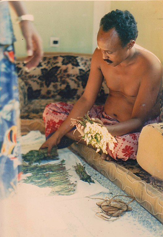 527px-Khat_01.jpg