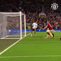 Celebration Win GIF by Manchester United