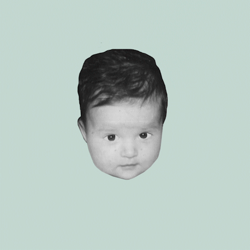 giphy.gif