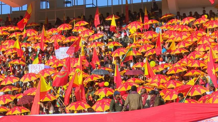 www.ethiopia-insight.com