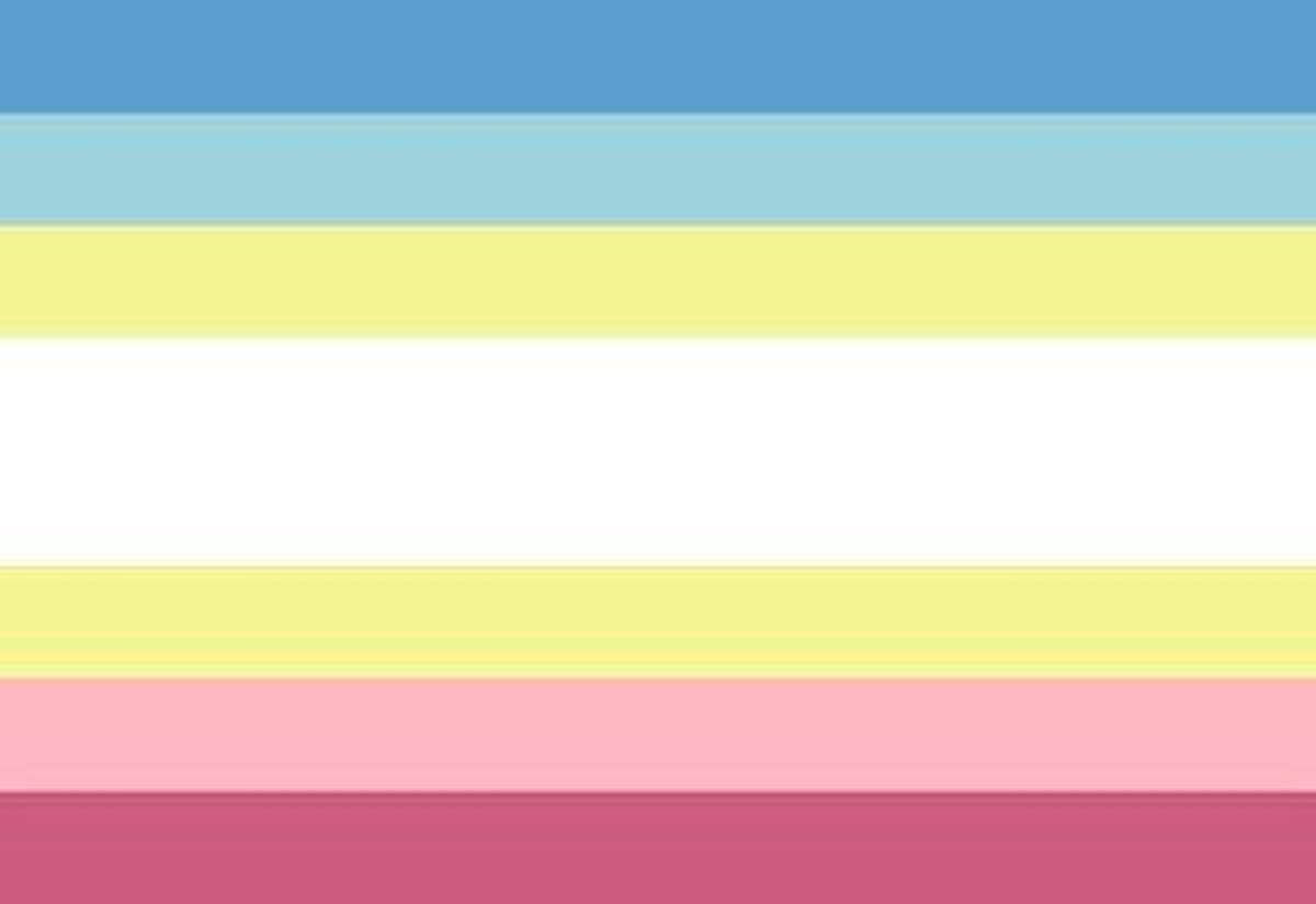 MAPS-flag.jpg