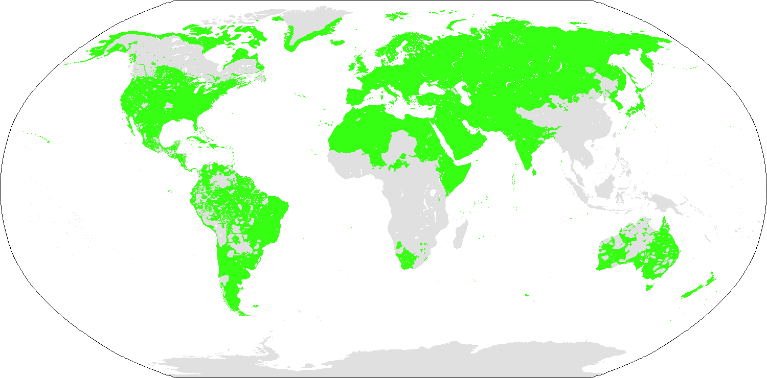 Nostratic_Languages.png