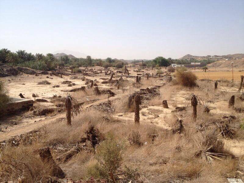 presentbadr-1.jpg