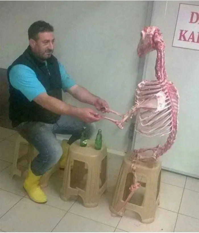 a9EY4W4e_700w_0.jpg