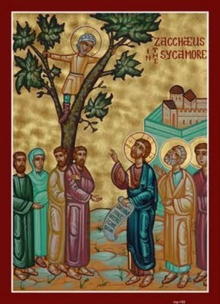 zacchaeus-in-the-sycamore-tree.jpg