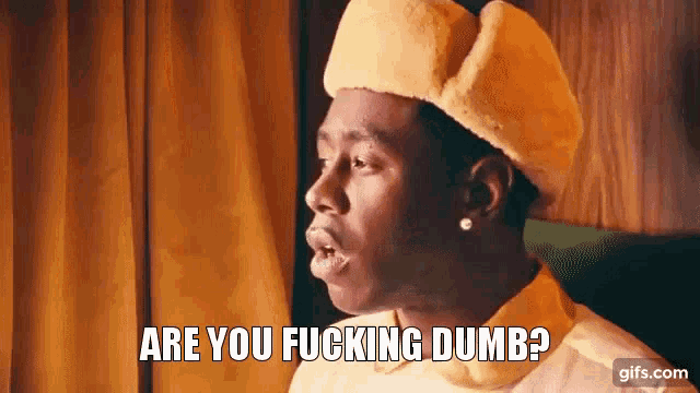 Dumb Are You Fucking Dumb GIF - Dumb Are You Fucking Dumb Tyler - Discover  & Share GIFs