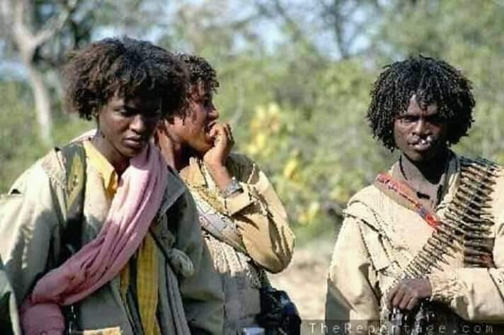 onlf3.jpg