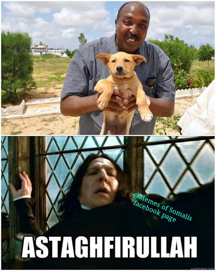 CZLLB5iWAAESzdg.jpg