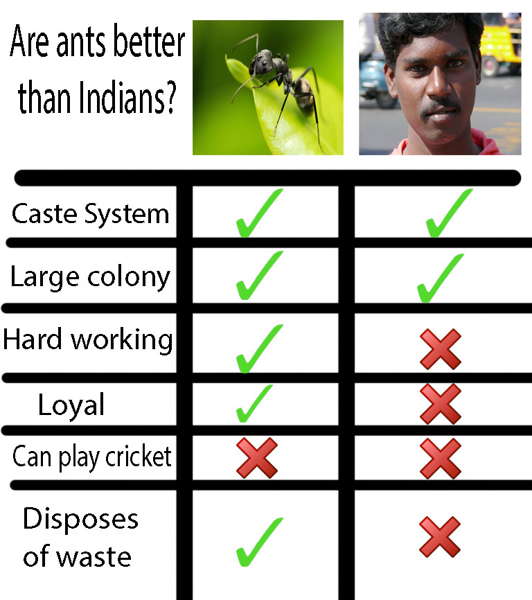 360057.jpg