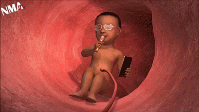 giphy.gif