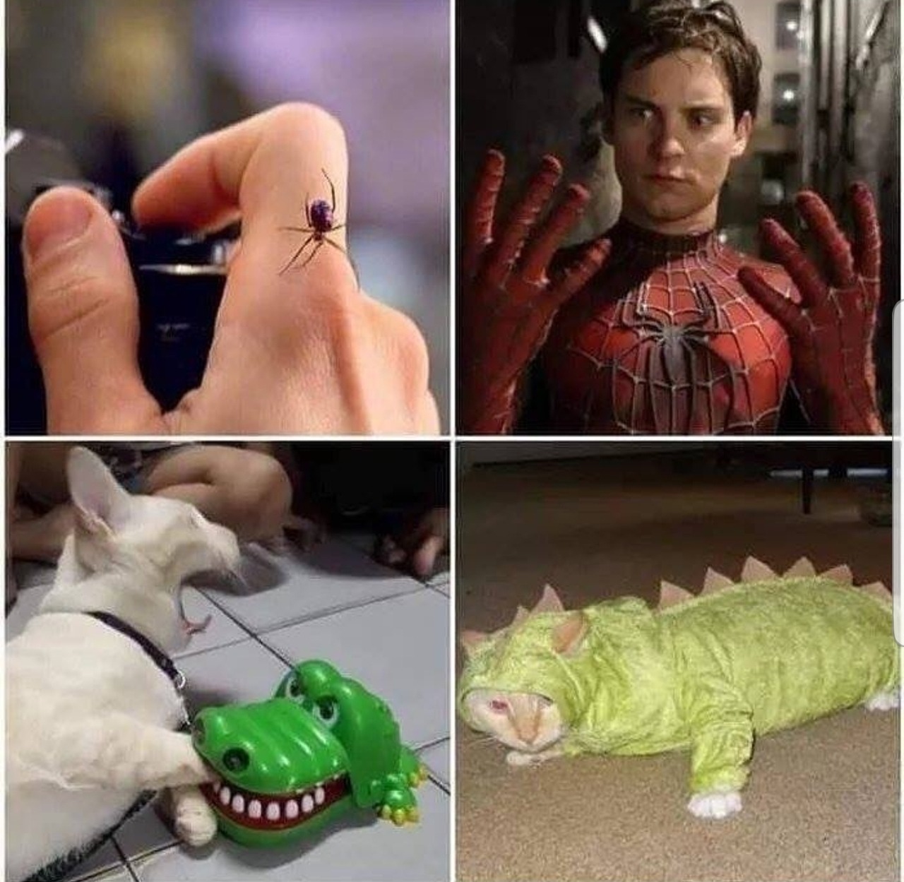 1a4.jpg
