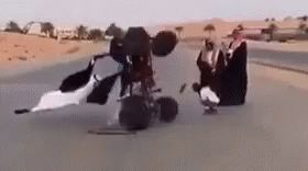 arab-4wheeler.gif